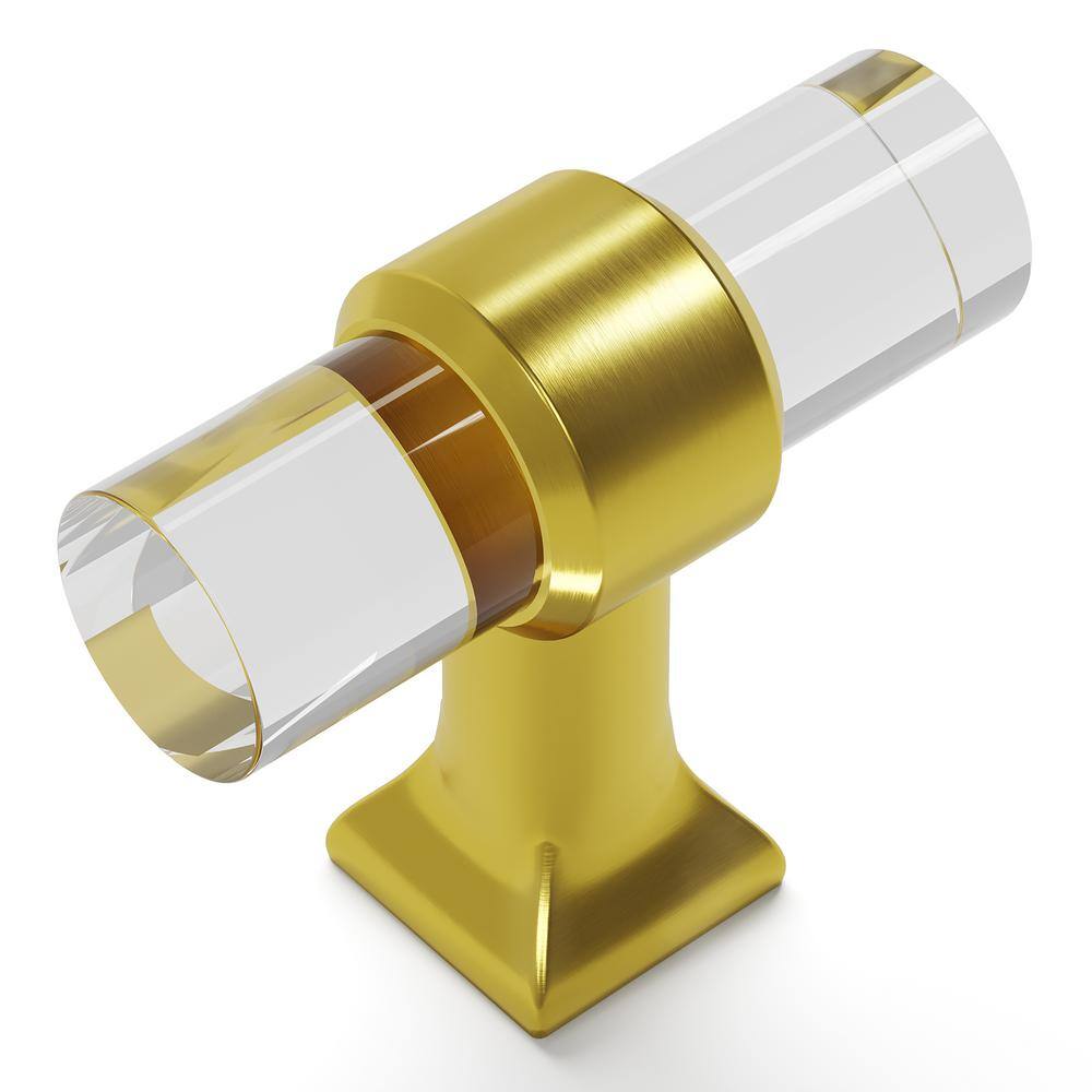Crystal Palace Brushed Golden Brass and Acrylic Bar Knob