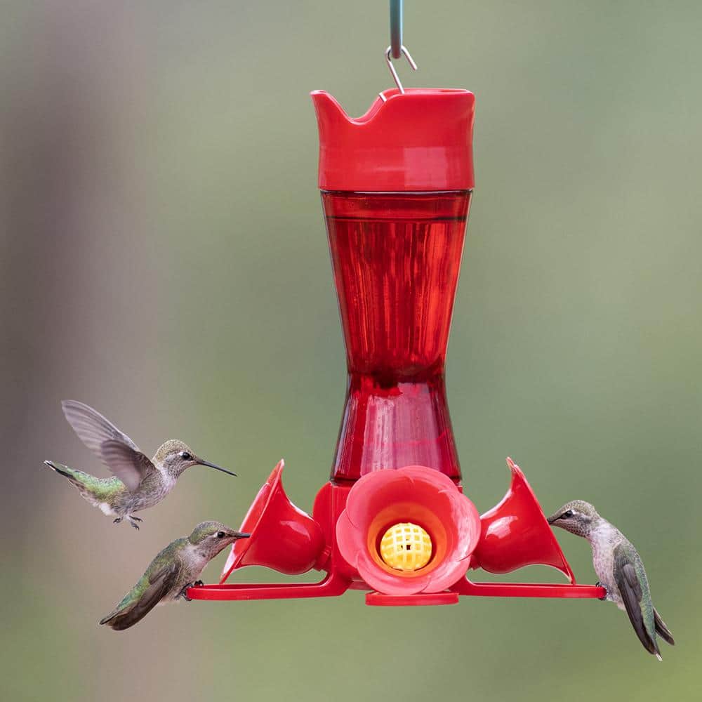Red Glass and Plastic Hanging Hummingbird Feeder, 8-Ounce