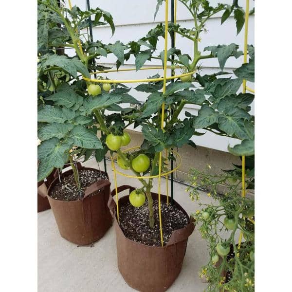10 gallon Plastic Grow Bags Poly Plant Pots Soil Root Containers PE Grow Bag