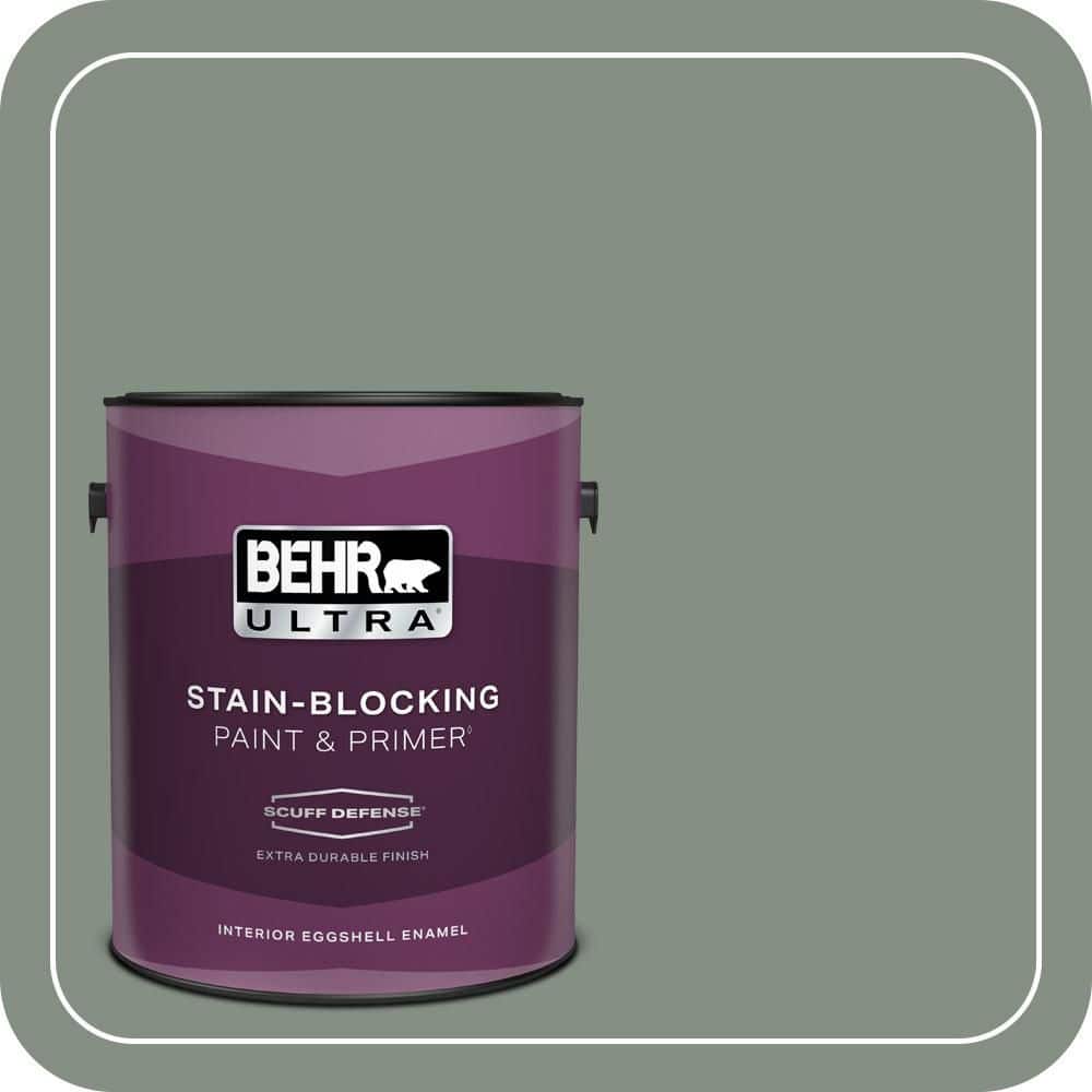 1 gal. #ECC-49-3 Forest Moss Extra Durable Eggshell Enamel Interior Paint & Primer price history on PriceWatchPro