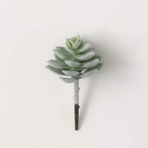 4.75" Compact Echeveria Succulent Finger Plant; Green