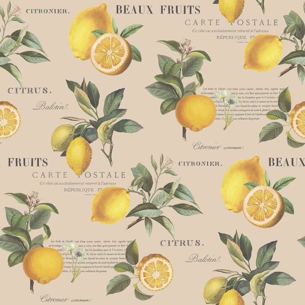 Citron Botanical Yellow/Green/Taupe Matte Finish Vinyl on Non-Woven Non-Pas