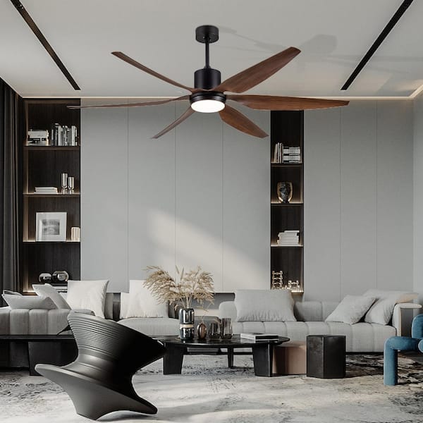 Smart Indoor Black Standard Ceiling Fan