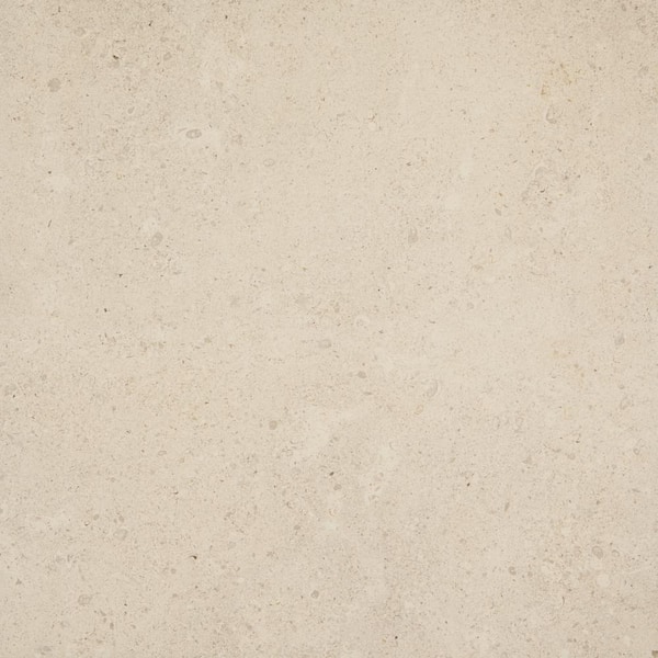 Daltile Dignitary Luminary White 24 in. x 24 in. Color Body Porcelain Paver Tile (182.4 sq. ft./pallet)