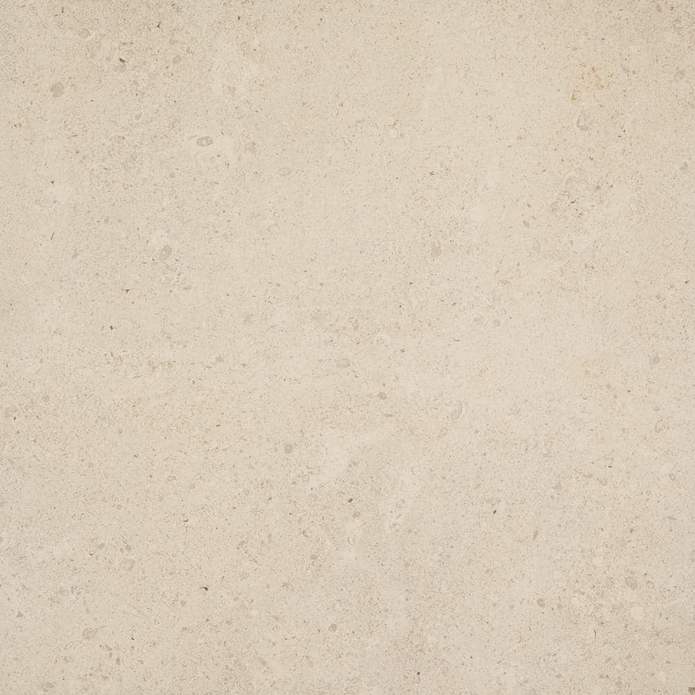Dignitary Luminary White 24 in. x 24 in. Color Body Porcelain Paver Tile (7.6 sq. ft./case) price history on PriceWatchPro