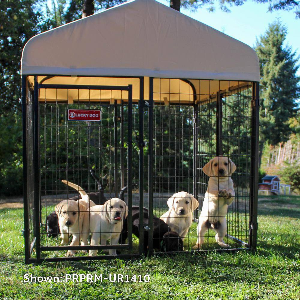 Khaki Steel Frame Outdoor Dog Kennel with Waterproof Roof