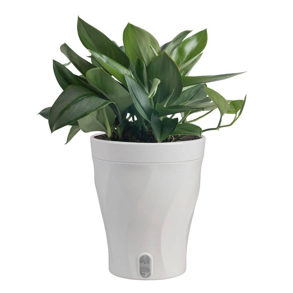 vicrays Ceramic Plant Pots Indoor - 6.8/5.5/4.3 Inch Planter Pot with  Drainage Hole and Saucer for Succulent Orchid Flower Herbs Cactus -  Gardening Home Desktop Office Decor – Set of 3 Starry Blue - Vicrays  Ceramics, image size:1000x1000