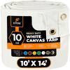 XPOSE SAFETY Canvas Heavy Duty 10 ft. W x 14 ft. L White 10 oz. Tarp CTW10-1014-X
