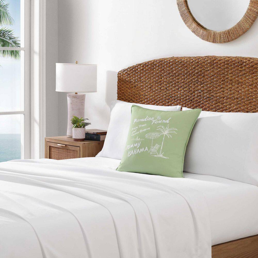 Paradise Found 1-Piece 20 x 20 Green Cotton Decorative Pillow price history on PriceWatchPro