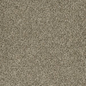 Trendy Threads Plus II Rancho Beige 48 oz. SD Polyester Texture Installed Carpet