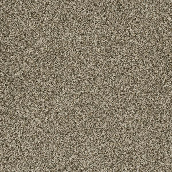 Home Decorators Collection Trendy Threads Plus II - Rancho - Beige 48 oz. SD Polyester Texture Installed Carpet