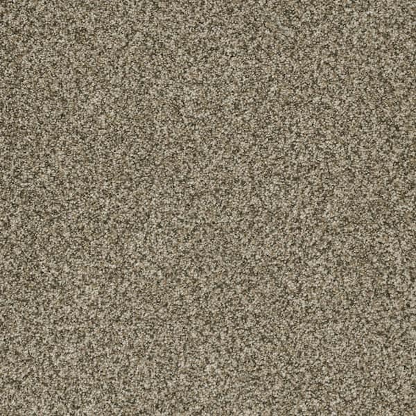 Home Decorators Collection Trendy Threads Plus Ii - Rancho - Beige 48 