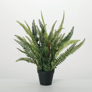 Artificial 21" Lush Black-Potted Fern, Green