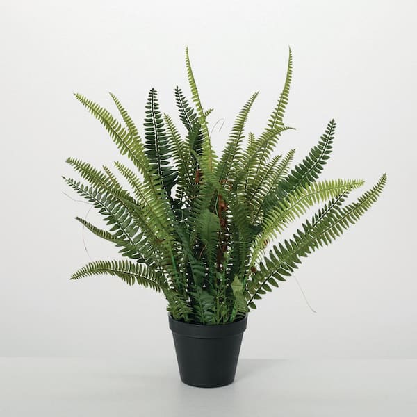 Artificial 21 in.  Lush, Black-Potted Fern, Green
