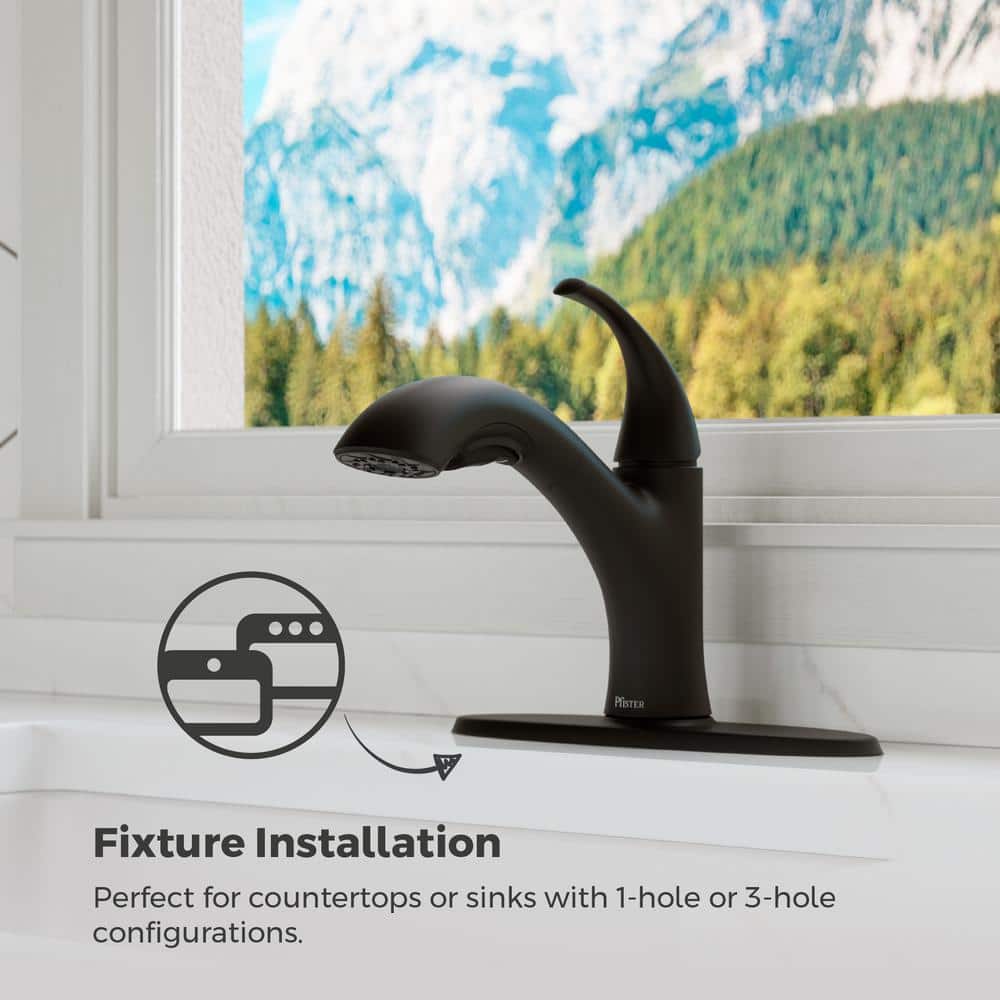 Matte Black Single Handle Pull-Out Kitchen Faucet