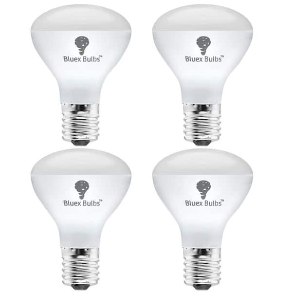 BLUEX BULBS 40-Watt Equivalent R14 Household Indoor LED Light Bulb in Cool White (4-Pack)