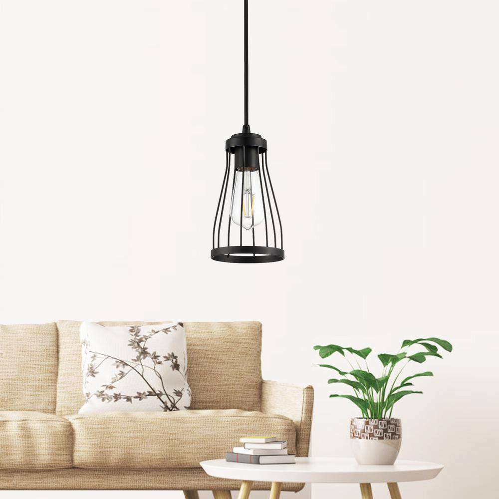 Matte Black Mini Cage Pendant Light with Glass Shade