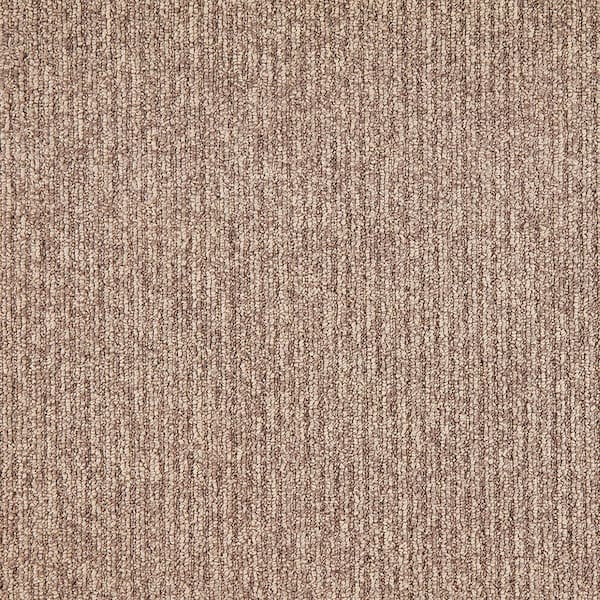 Finton  - Cancun - Brown 24 oz. SD Polyester Loop Installed Carpet