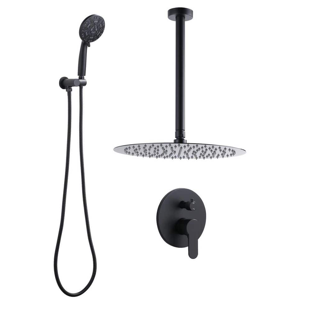 8-Spray 12 in. Dual Ceiling Mount Fixed and Handheld Shower Head 1.8 GPM Rain Shower System in Matte Black price history on PriceWatchPro