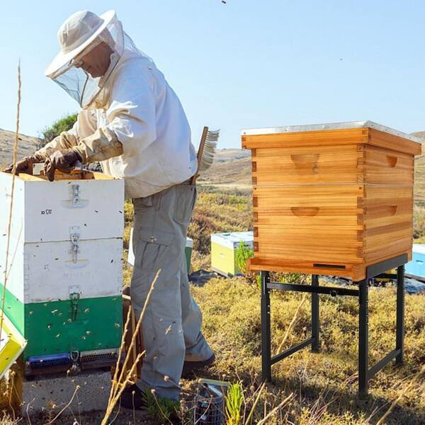 KIWDZFU Adjustable Metal Bee Hive Stand Bee Hive Frame