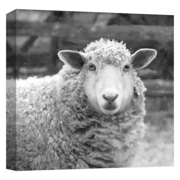 PTM Images ''farmhouse sheep II'' Canvas Abstract Wall Art 15 in. x 15 in.