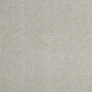 Coral Reef I - Canyon Grey - Gray 65.5 oz. Nylon Texture Installed Carpet