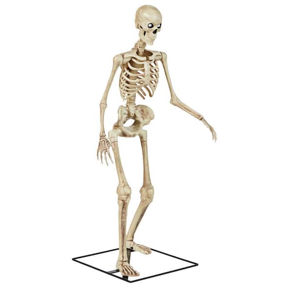 3 FT LED Skelly