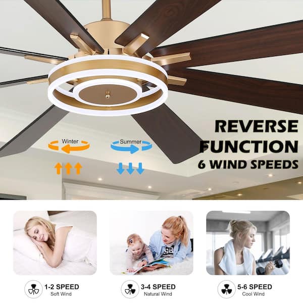 Belcarra 72 in. Indoor French Gold Dimmable 6-Speed LED Modern Ceiling Fan with Lights and Remote, 3 Downrods Included