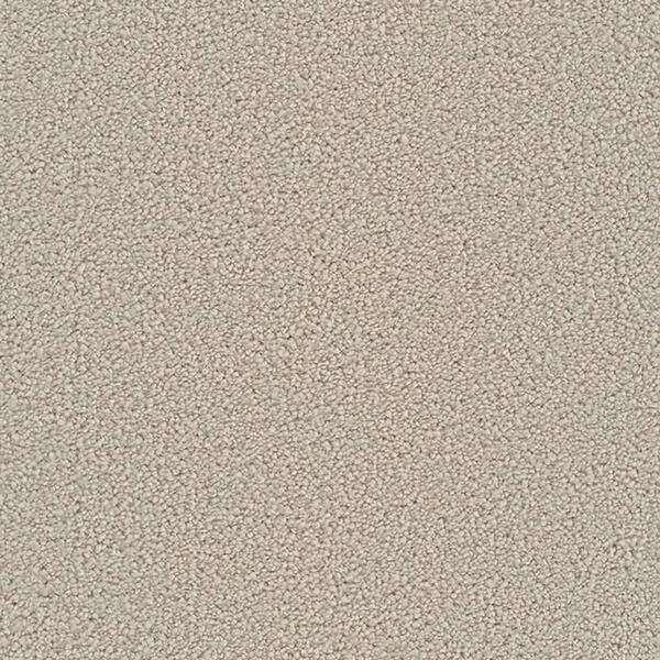 Lifeproof Carpet Sample - Harvest III - Color Texline Texture 8 in. x 8 in.