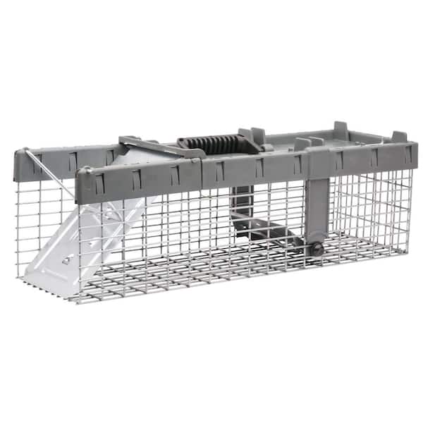 Havahart Small 1-Door Humane Catch-and-Release Live Animal Cage Trap for Squirrel, Weasel, Chipmunk
