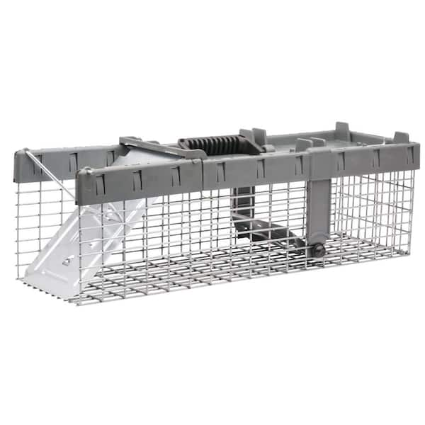 Live Humane Cage Trap for squirrel chipmunk mice rodent No Kill small  animals