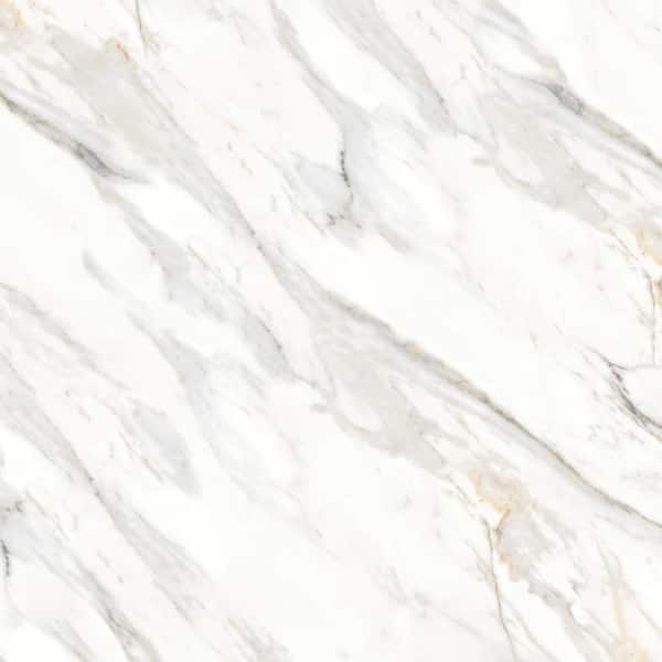 Shandar Square 48 in. x 48 in. Polished Arezzo Bianco Super White Porcelain Tile (31.01 sq. ft./Case)