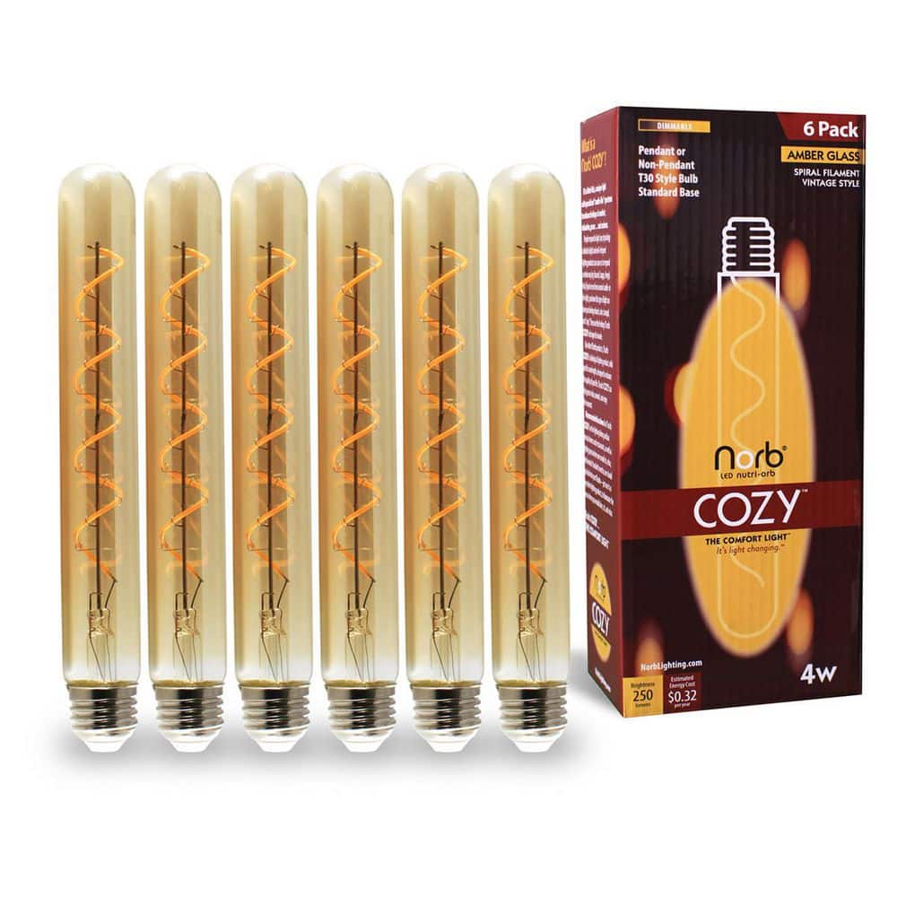 NorbCOZY 4W Equivalent T30 Warm White (Less Than 2700K) Dimmable Warm Amber Spiral Edison LED Light Bulb (6-Pack) price history on PriceWatchPro