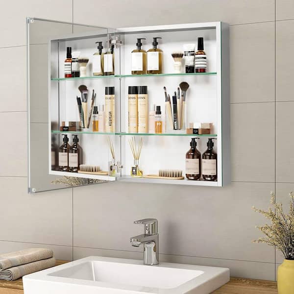 Cesicia Recessed/Surface Mount 20in. W x 26 in. H Rectangular Aluminum Medicine Cabinet with Mirror and Adjustable Shelf