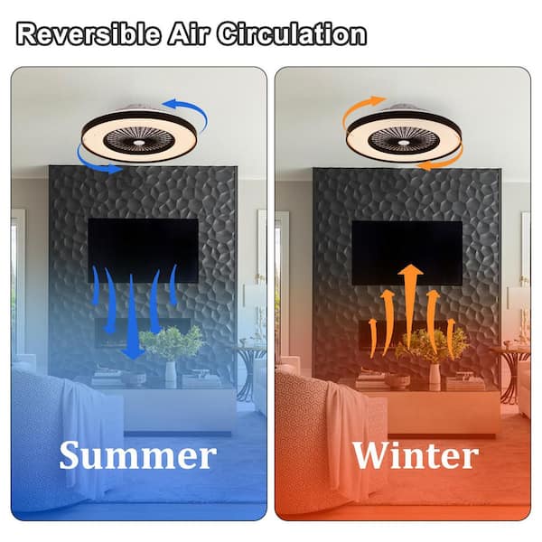 Shinevoy 20 in. Modern Black and White Smart Fan Light