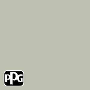 1 gal. PPG1031-2 Misty Meadow Eggshell Interior Paint