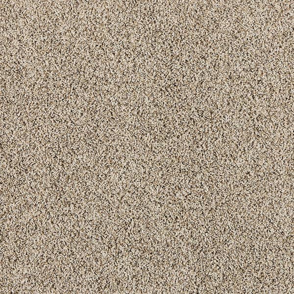 Home Decorators Collection Radiant Retreat II Rustic Brown 58 oz. Polyester Textured Installed Carpet