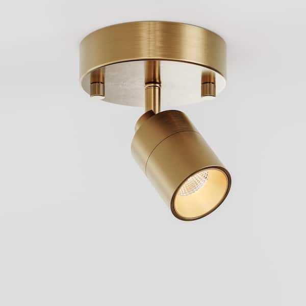 Shura Brushed Brass Adjustable Spot Light, Integrated LED Bulb, Fixed Track Cylinder Spotlight, 3000k, 490 Lumens