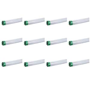 15-Watt 2 ft. Linear T8 ALTO Fluorescent Tube Light Bulb Cool White (4100K) (12-Pack)