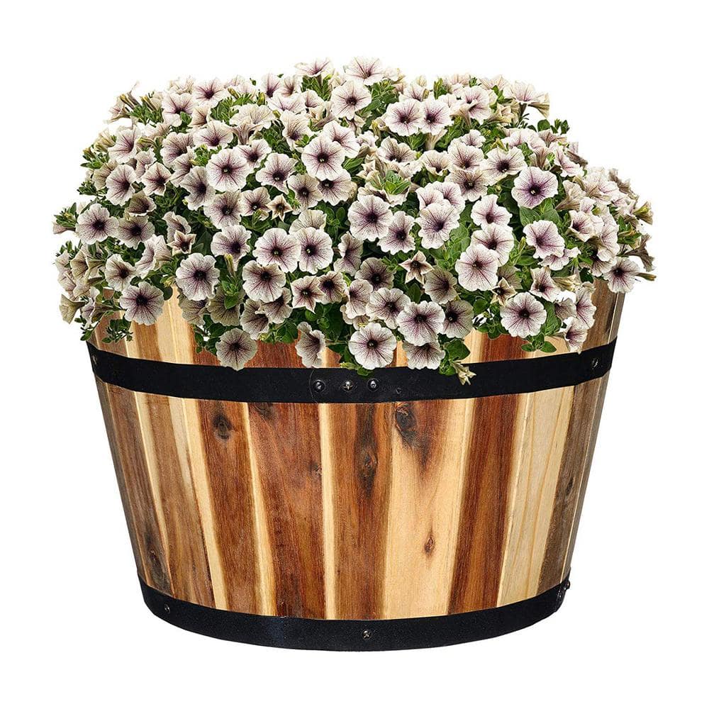 16-Inch Acacia Wood Whiskey Barrel Planter with Black Metal Bands