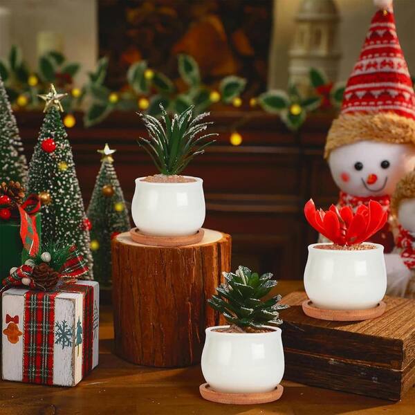 2.5 Inch White Mini Ceramic Succulent Planters with Bamboo Tray