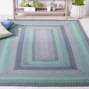 Braided Gray Green 4 ft. x 6 ft. Striped Border Area Rug