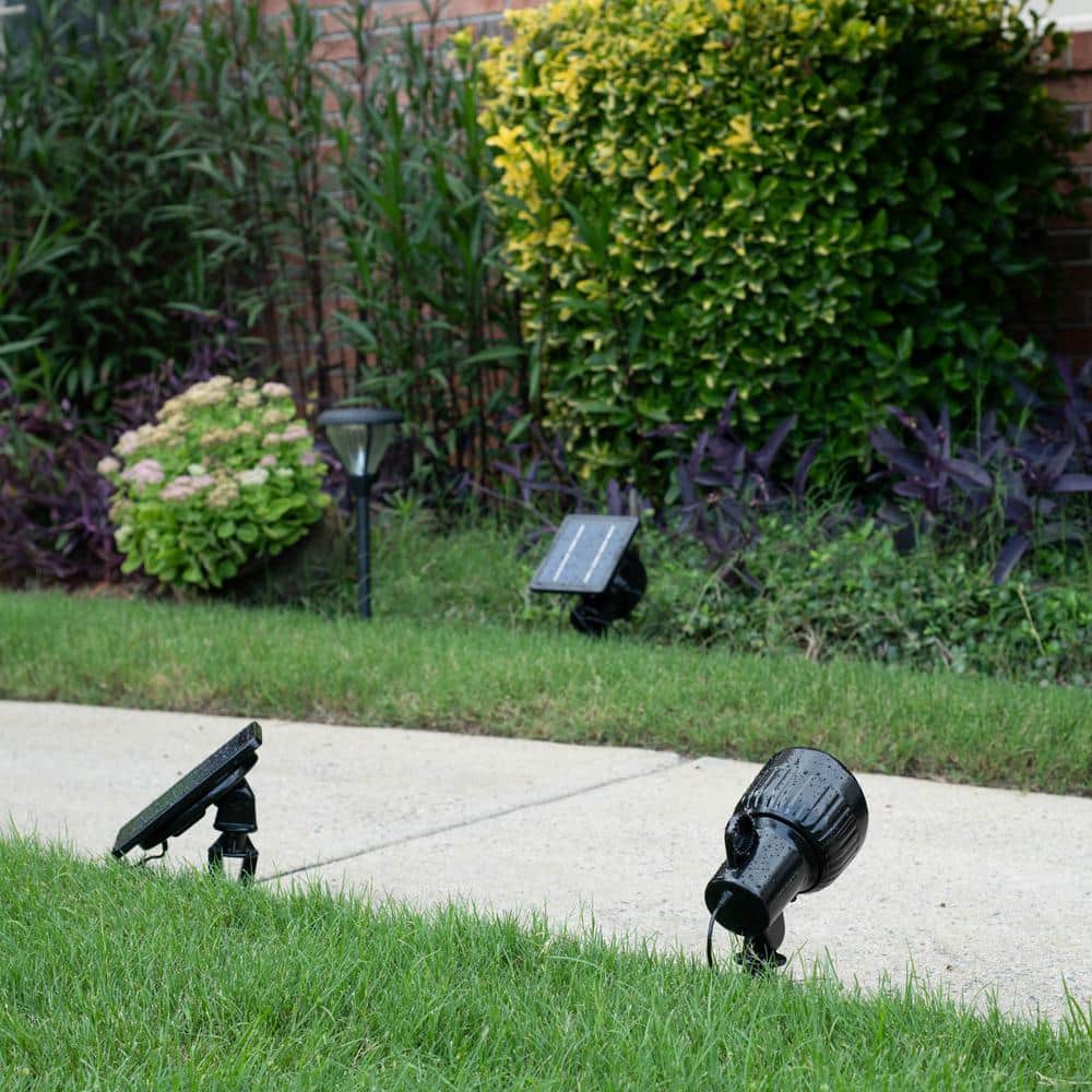 Progressive Warm White LED Solar Powered Landscape Spotlight