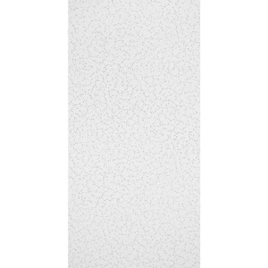 Random Texture 2 ft. x 4 ft. Lay-in Ceiling Tile (2400 sq. ft./pallet)