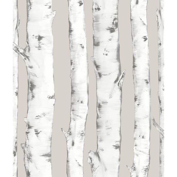 InHome Grey Downy Birch Peel and Stick Wallpaper Sample