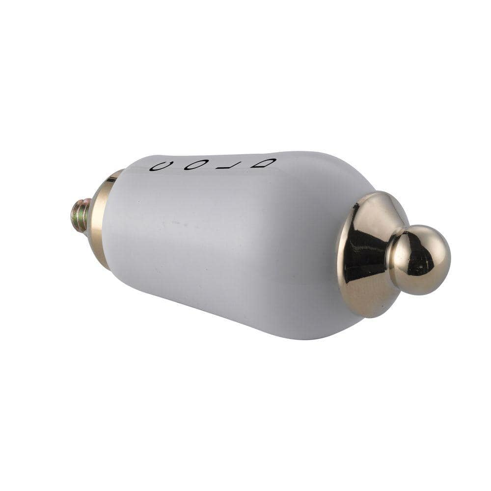 Teapot Porcelain Lever Handle Kit for Cold, Polished Brass price history on PriceWatchPro