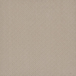 Camelia Lane - Sandy - Beige 28 oz. SD Polyester Loop Installed Carpet
