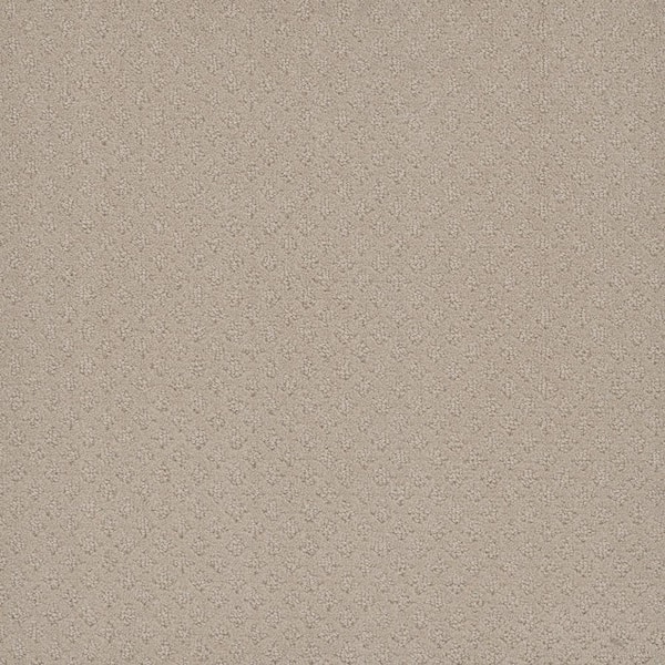 Camelia Lane - Sandy - Beige 28 oz. SD Polyester Loop Installed Carpet