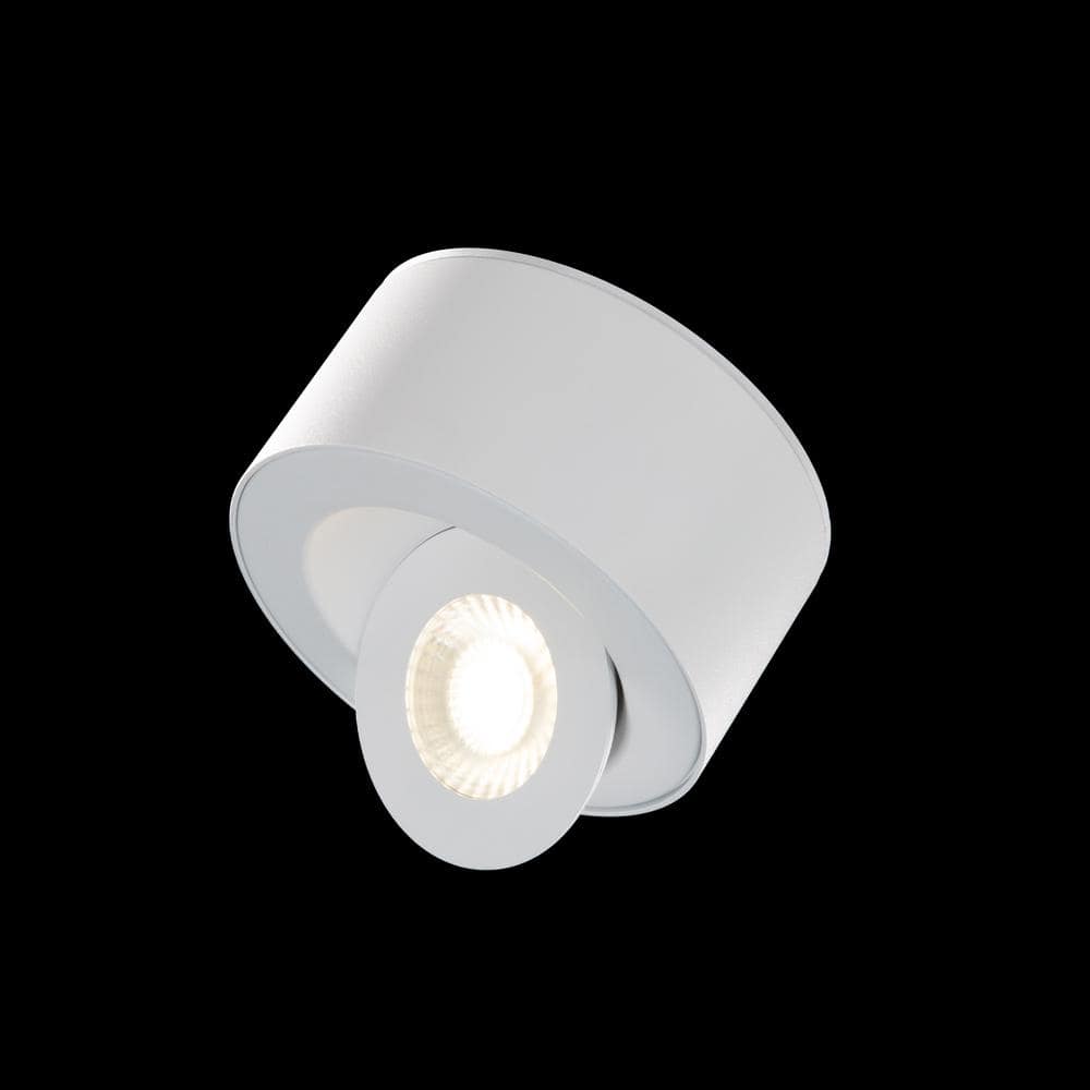 Peek Adjustable Beam LED Indoor/Outdoor Flush Mount in White