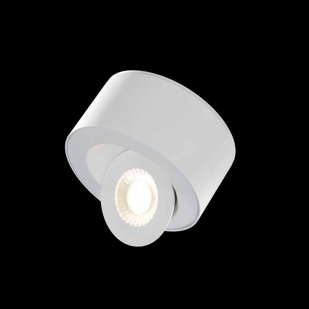 Peek Adjustable Beam LED Indoor/Outdoor Flush Mount in White